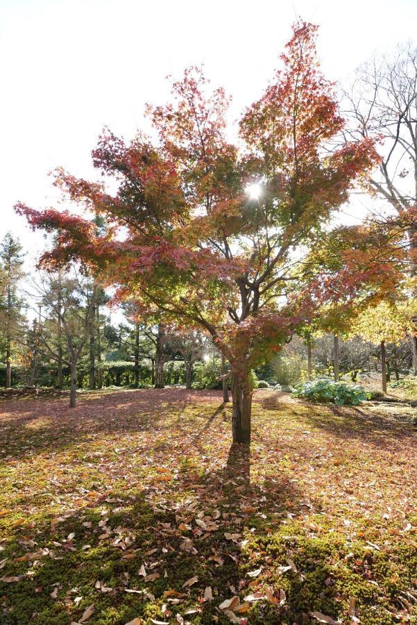 Japaning Senkyu Villa เกียวโต ภายนอก รูปภาพ