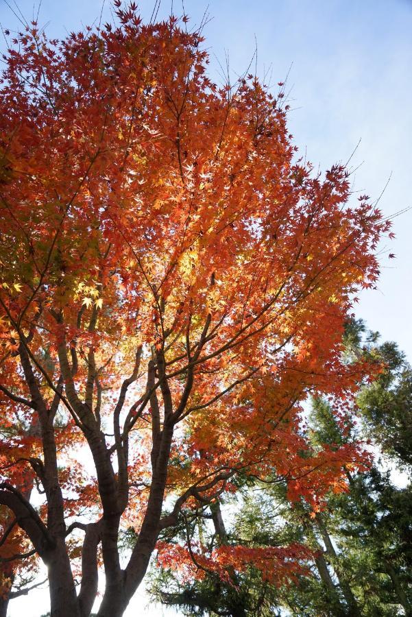 Japaning Senkyu Villa เกียวโต ภายนอก รูปภาพ
