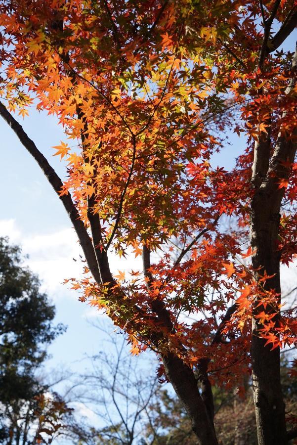 Japaning Senkyu Villa เกียวโต ภายนอก รูปภาพ